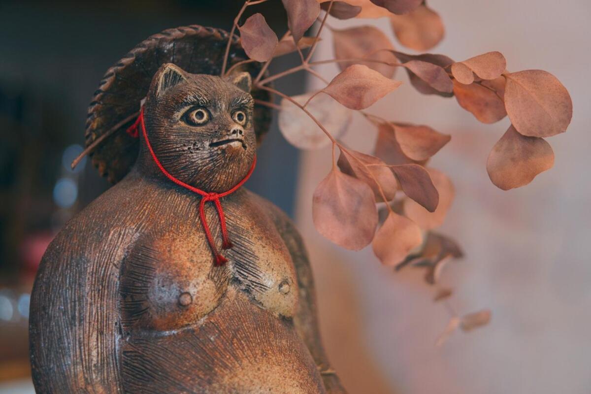 宿たぬきのねどこ Guesthouse Tanuki Tokoname Exterior foto